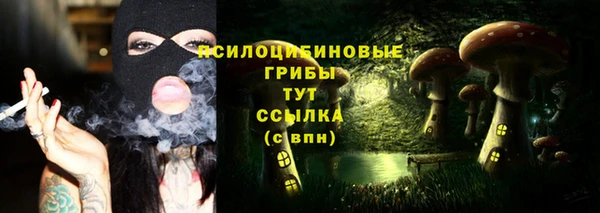 гидра Абдулино