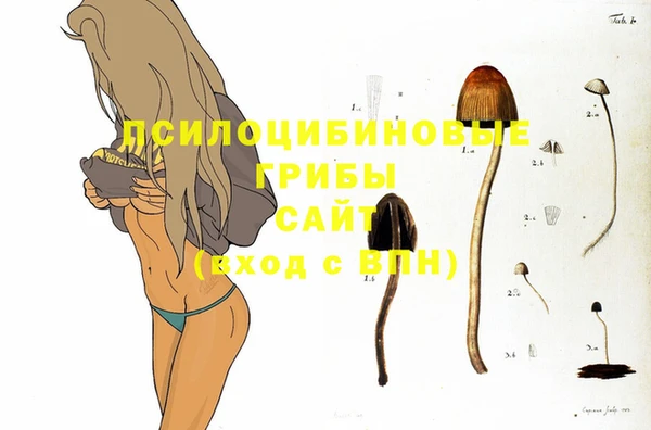 гашишное масло Абаза