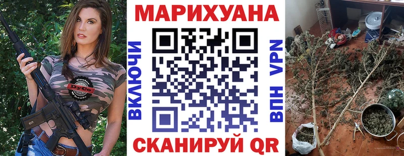 Каннабис семена  Туран 